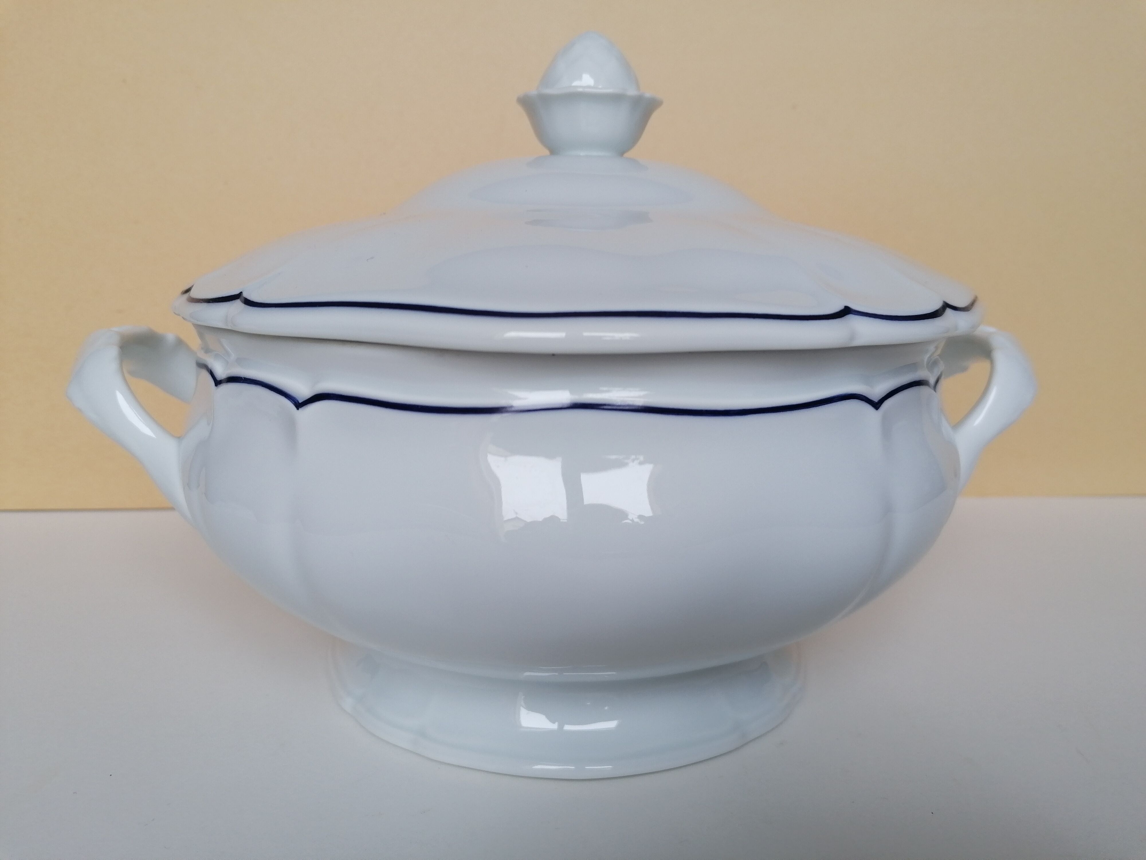 Soup limoges porcelain old great fire