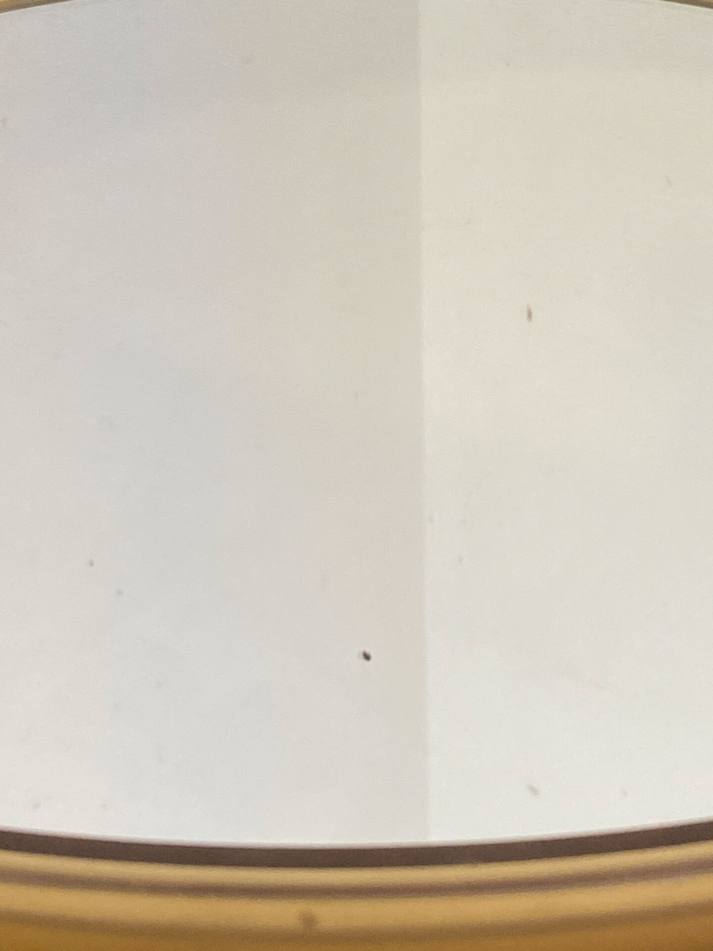 Miroir circulaire en plastique, brun fumé, années 70