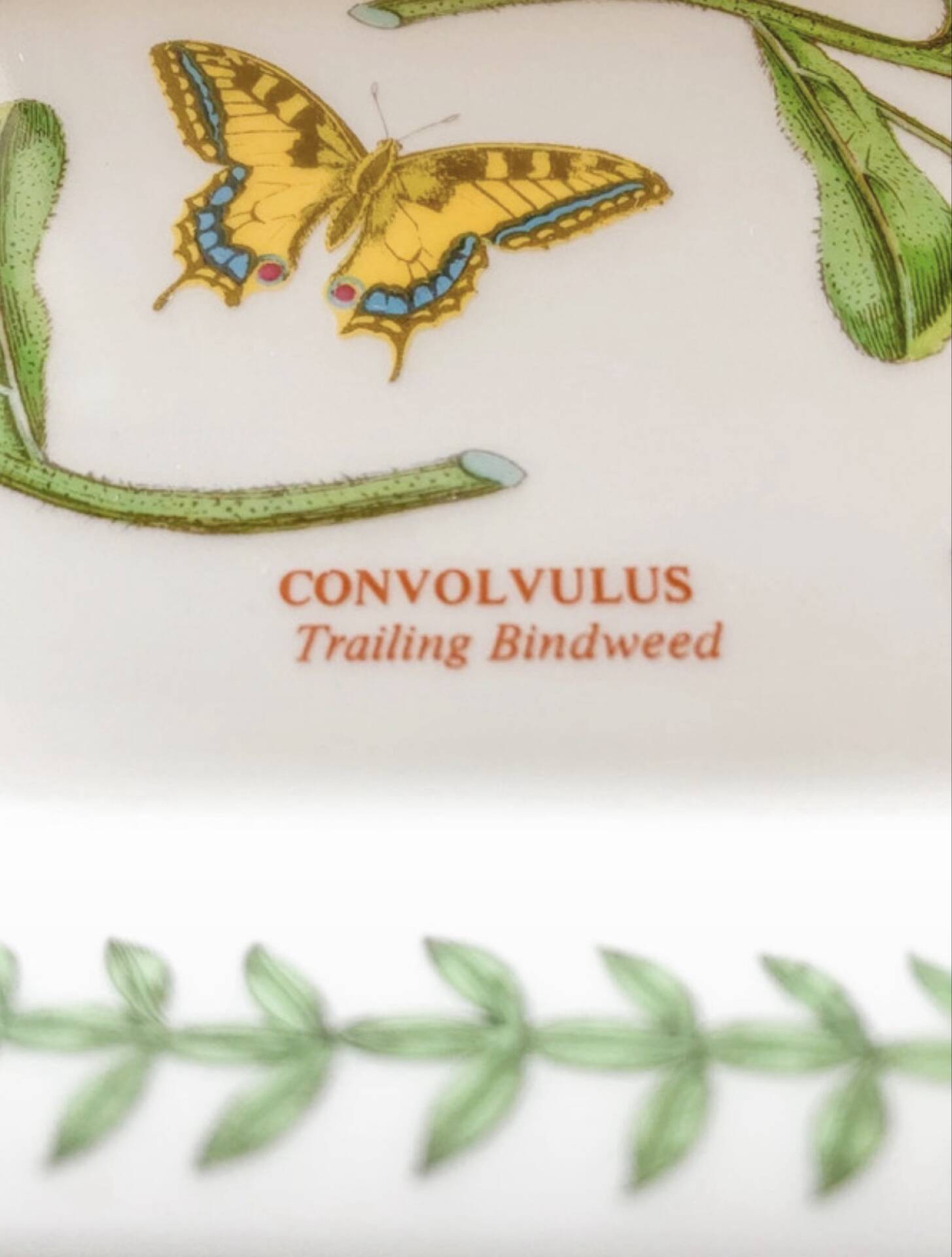 Vintage cake dish Portmeirion Botanic Garden Convolvulus