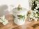 Sugar bowl in barbotine with leaf and green fruit motifs in relief