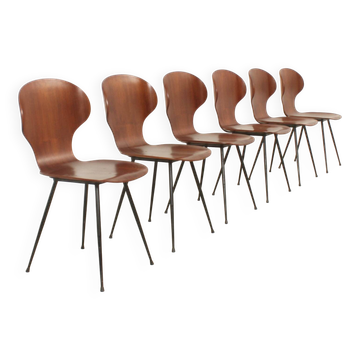 Six plywood chairs by Carlo Ratti, Italy, 1950s.