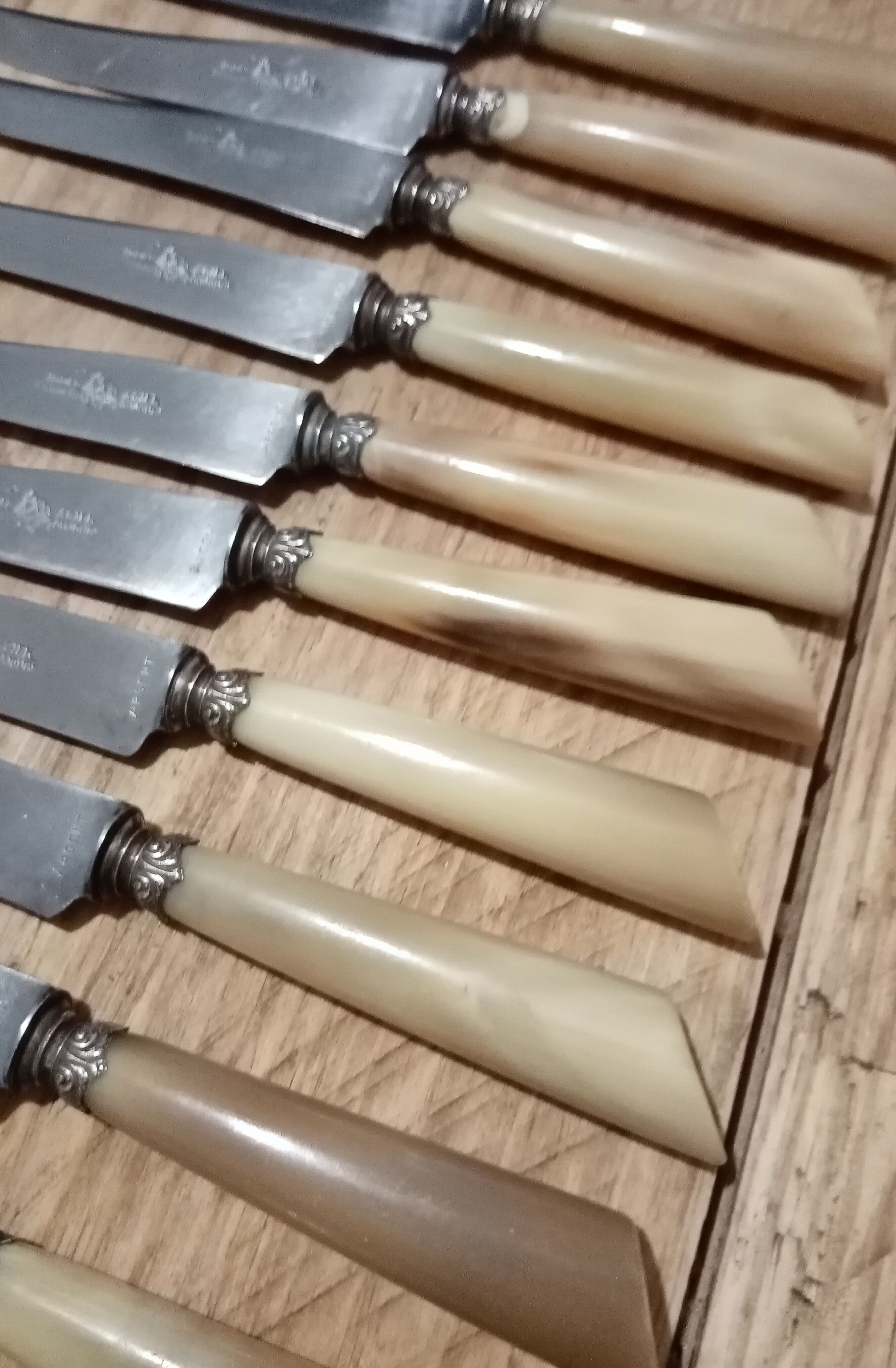 Box 12 old cheese knife 19th blade steel virole silver handle horn