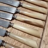 Box 12 old cheese knife 19th blade steel virole silver handle horn