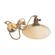 Suspension rises and falls opaline