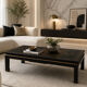 Asian coffee table