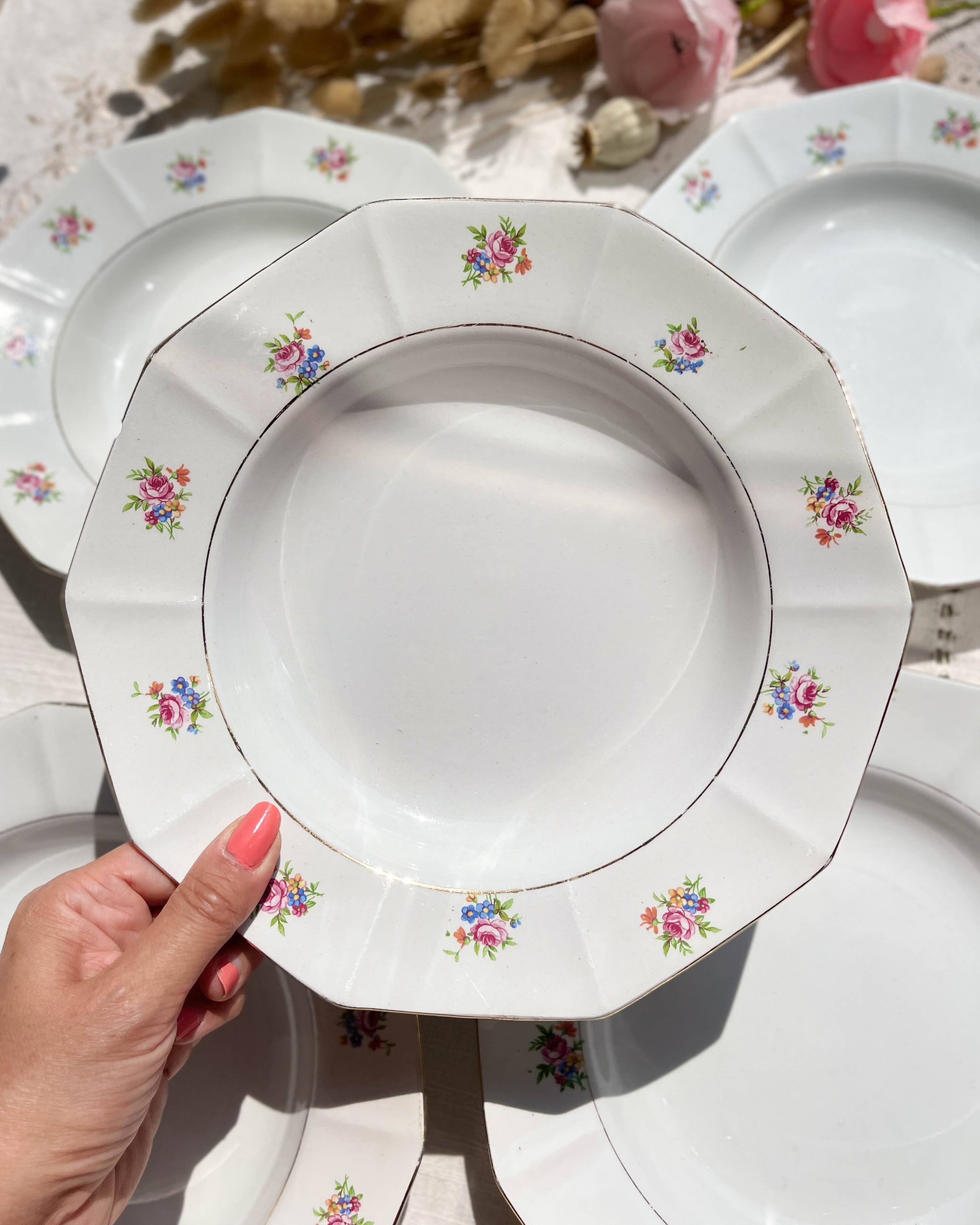 5 vintage hollow plates in opaque porcelain SALINS floral pattern