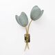 Pair of Tulips Murano Glass and Brass Sconces