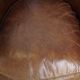 Set of 2 club chairs/armchairs in dark cognac leather