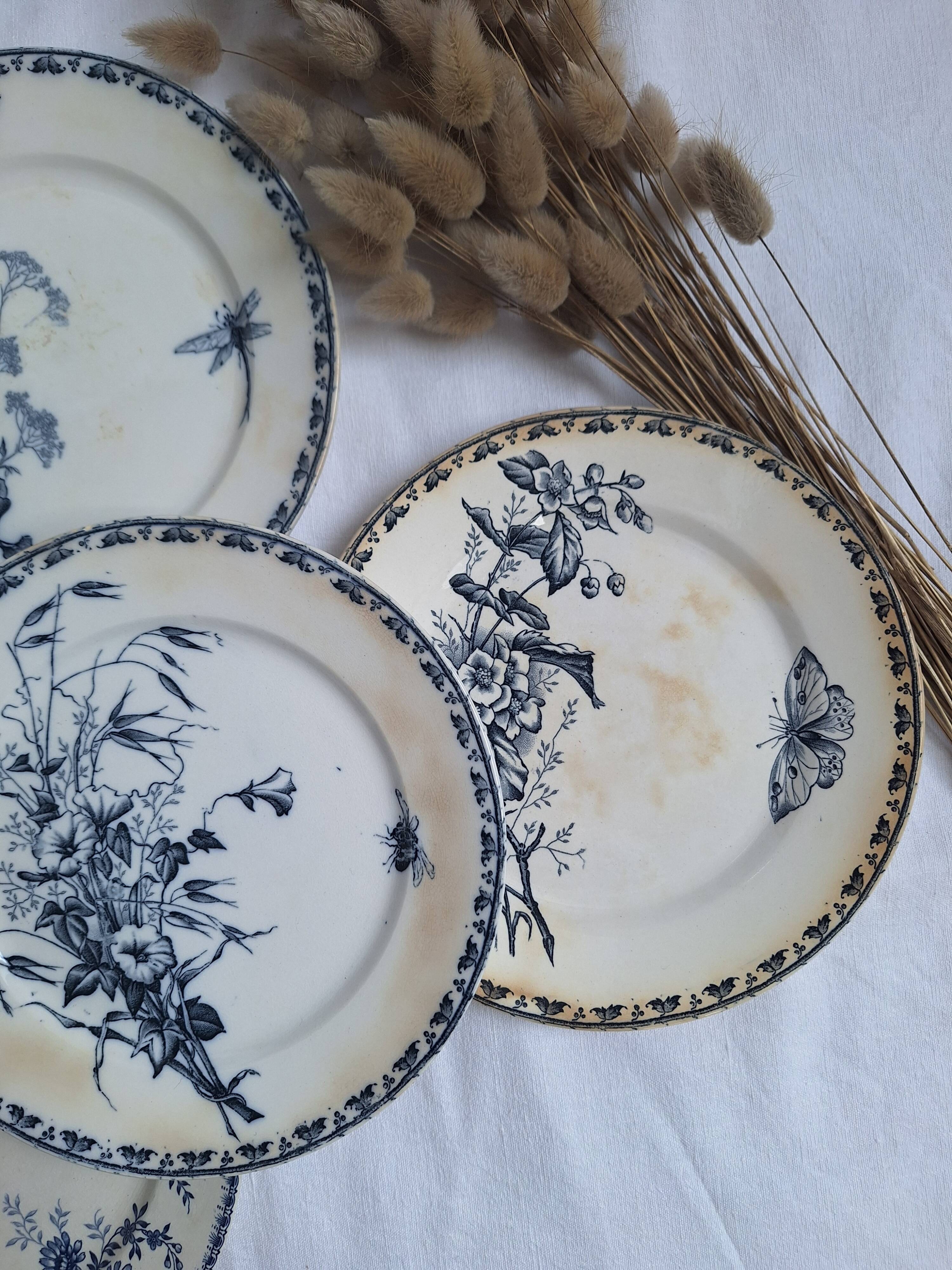 Vintage blue dinner plates