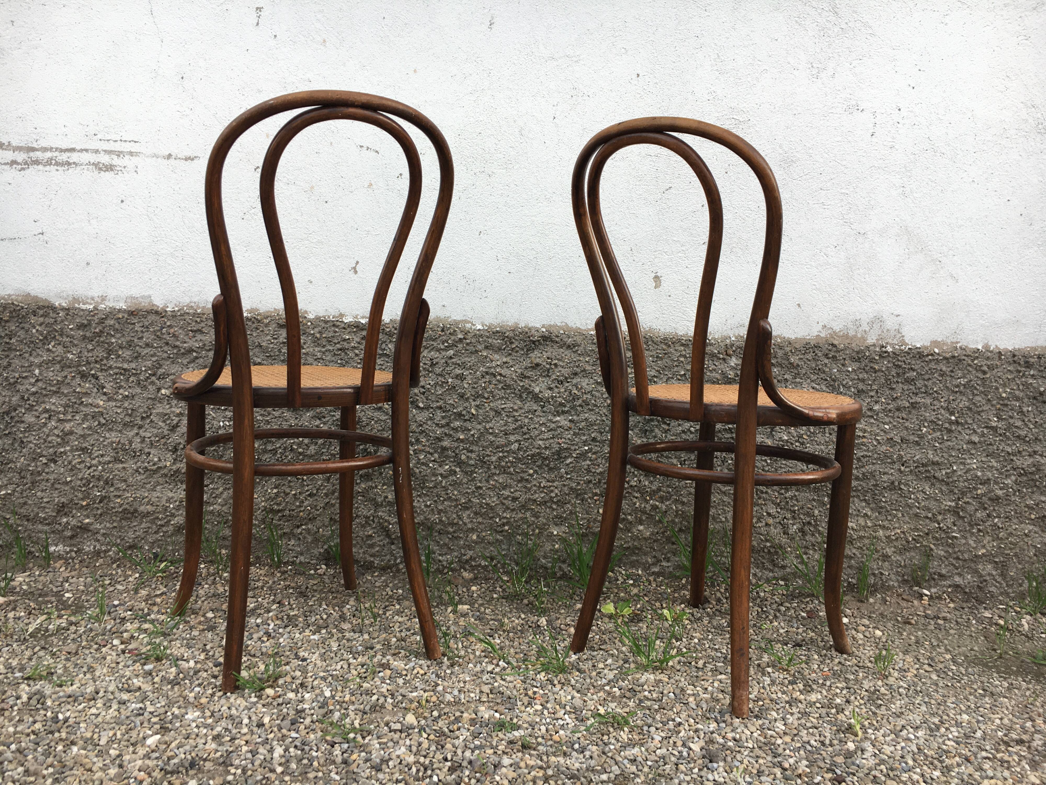 Pair of fischel chairs made in Austria curved wood