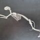 Cabinet of Curiosity, set of four anatomy photographs