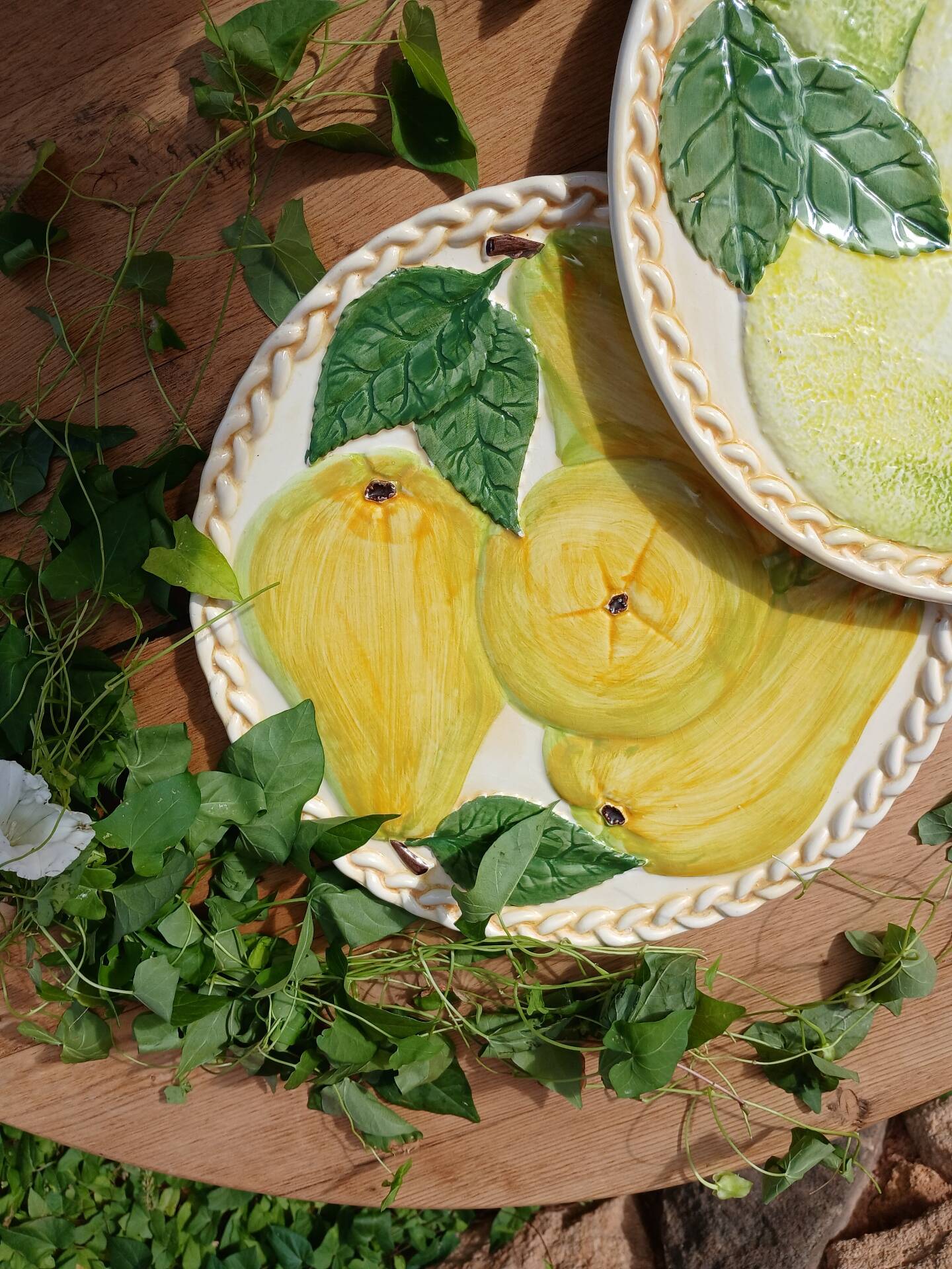 2 plats à tarte en barbotine