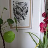 White and black jungle illustration