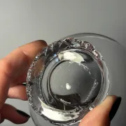 Verres à champagne 6p. Daum