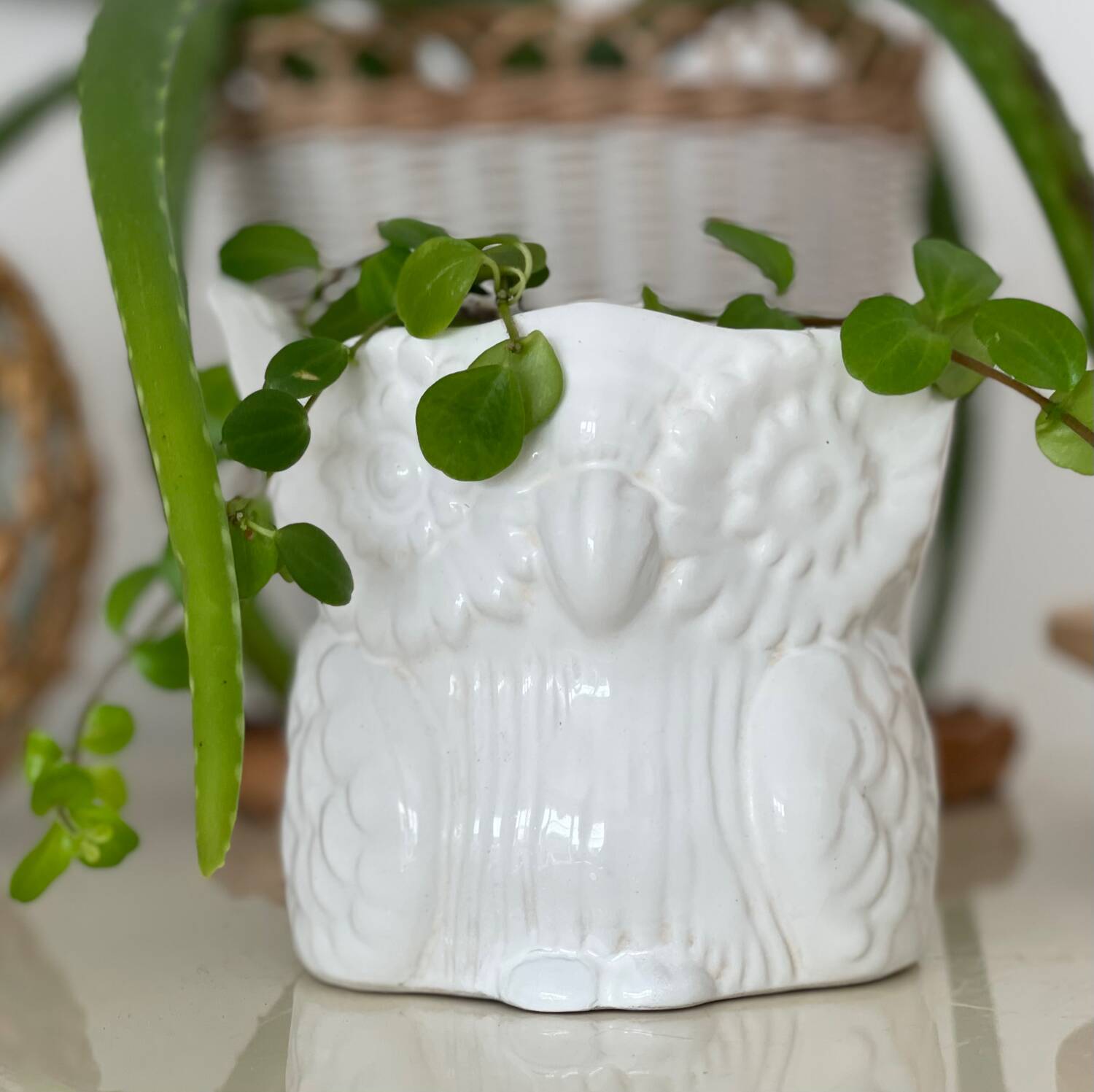 Owl plant pot
