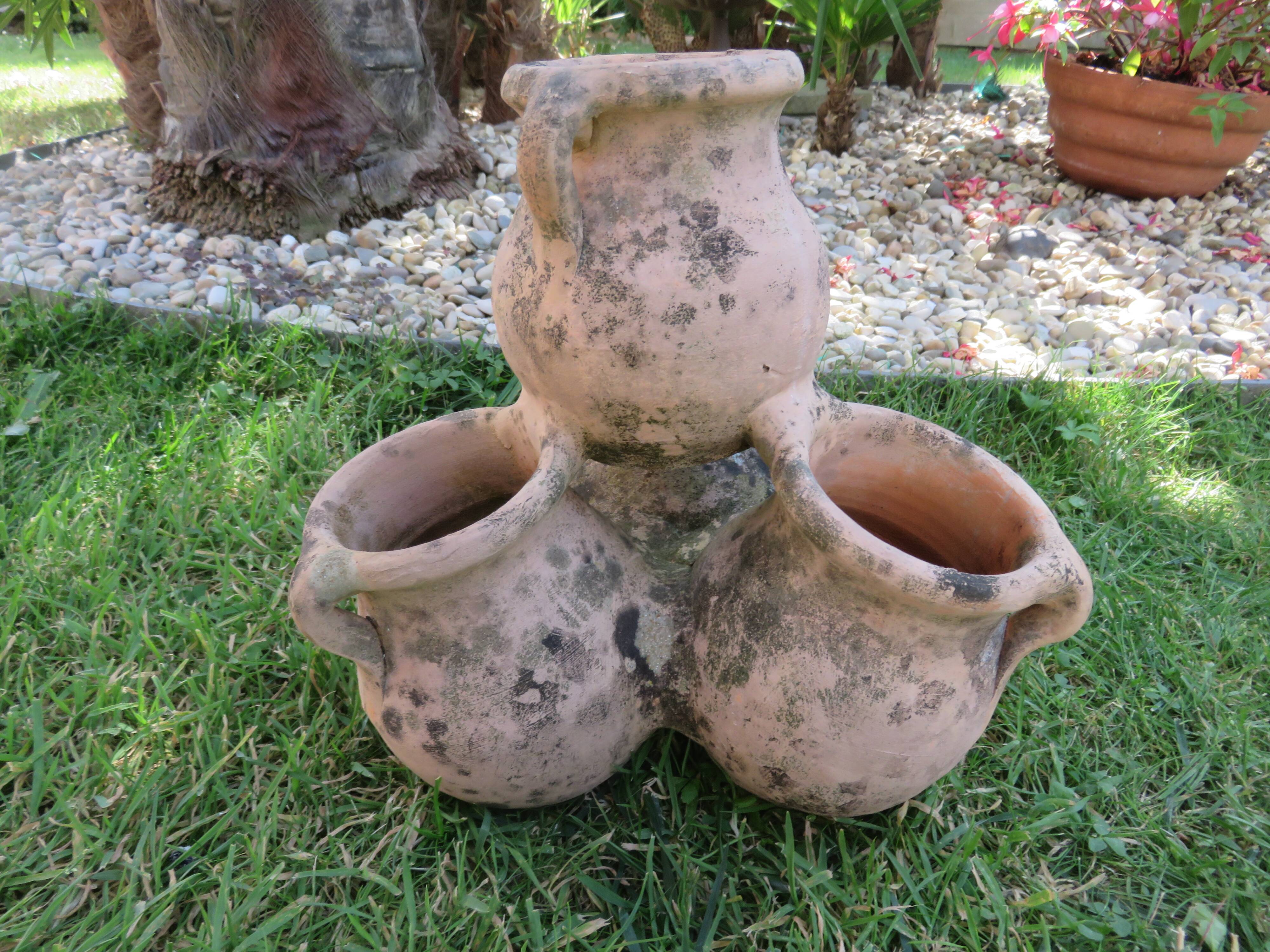 Pot de fleurs multiple en terre cuite, terracotta 1960