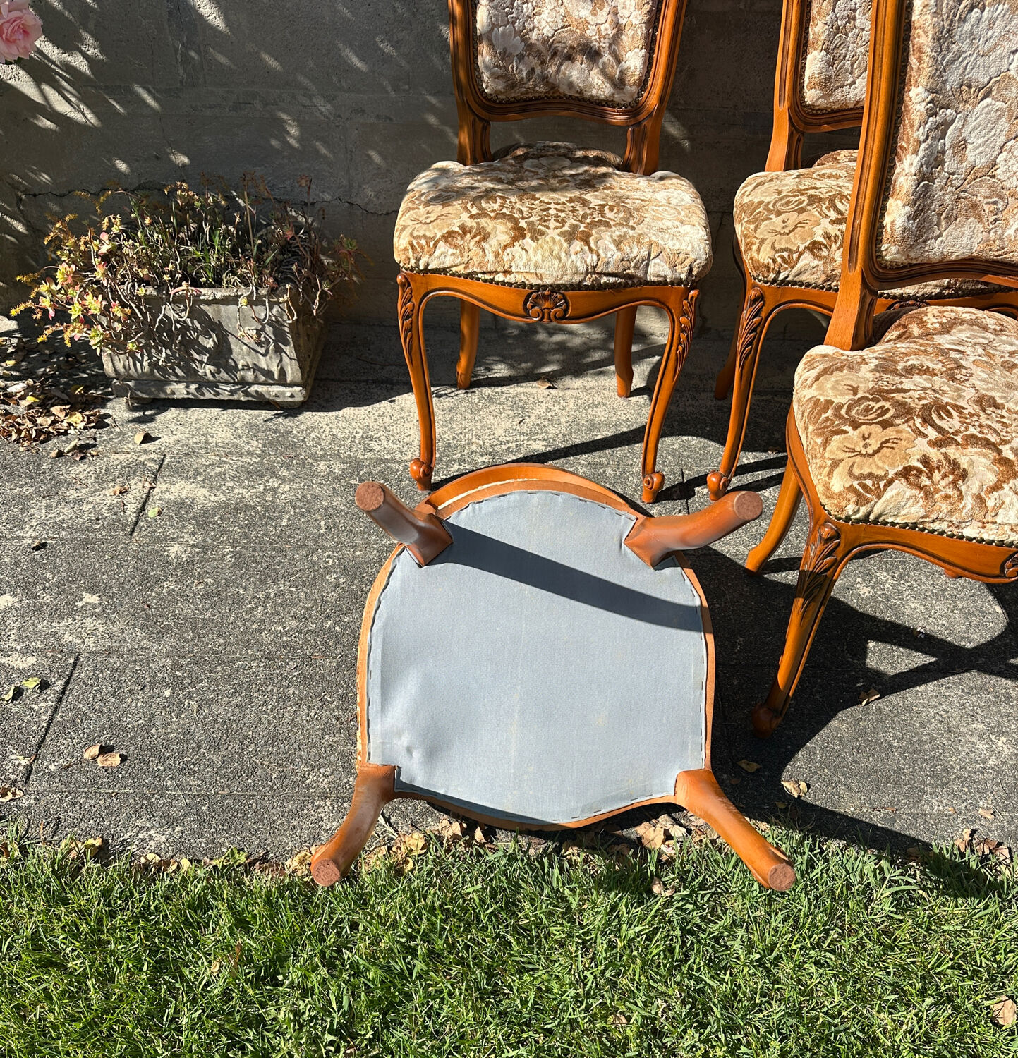 8 cherry wood chairs in Louis XV style with velvet upholstery.