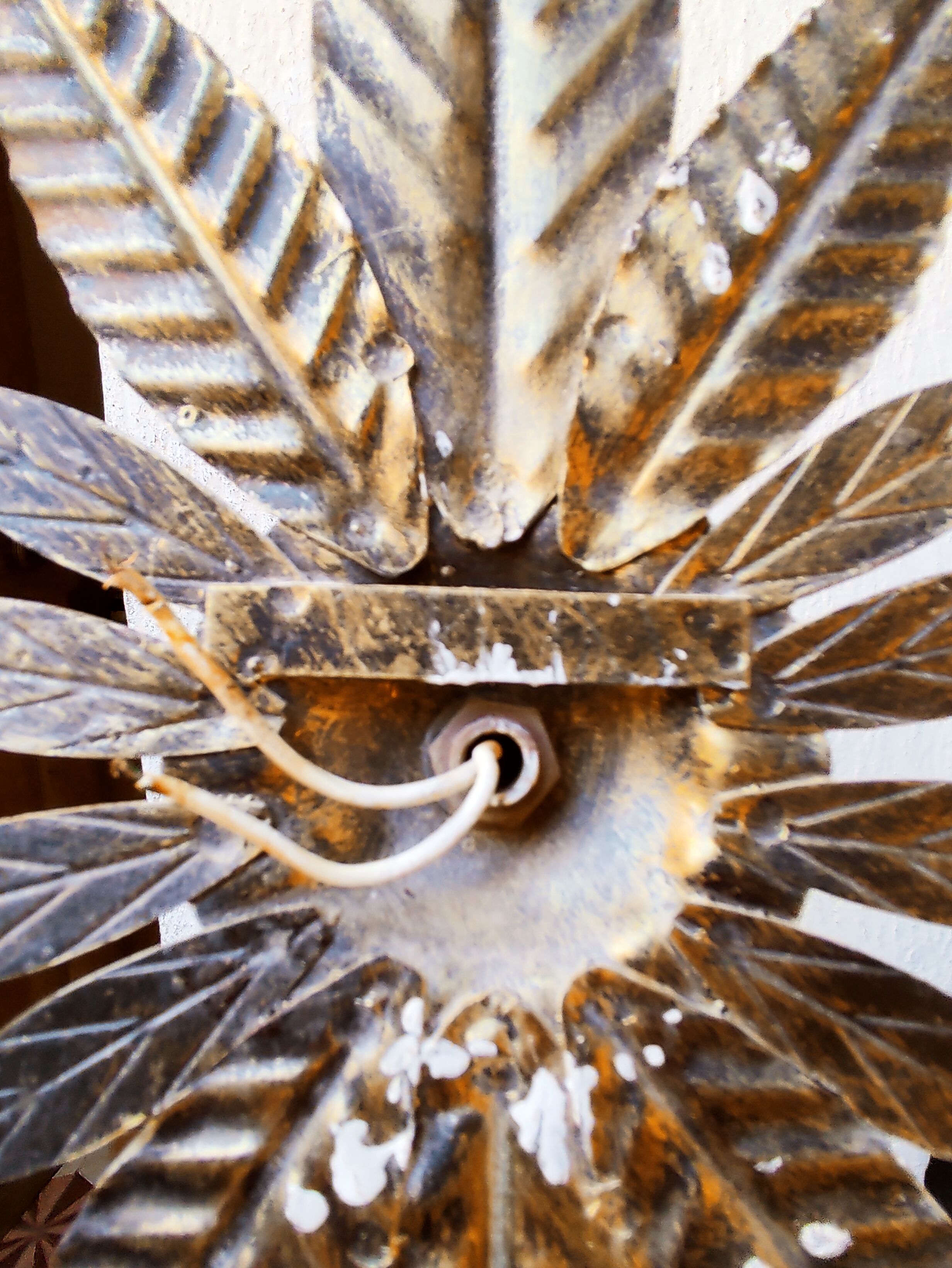 Raw metal wall lamp, Murano tulip