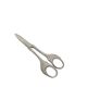 Art Nouveau Danish grape scissors, 1920s