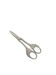 Art Nouveau Danish grape scissors, 1920s