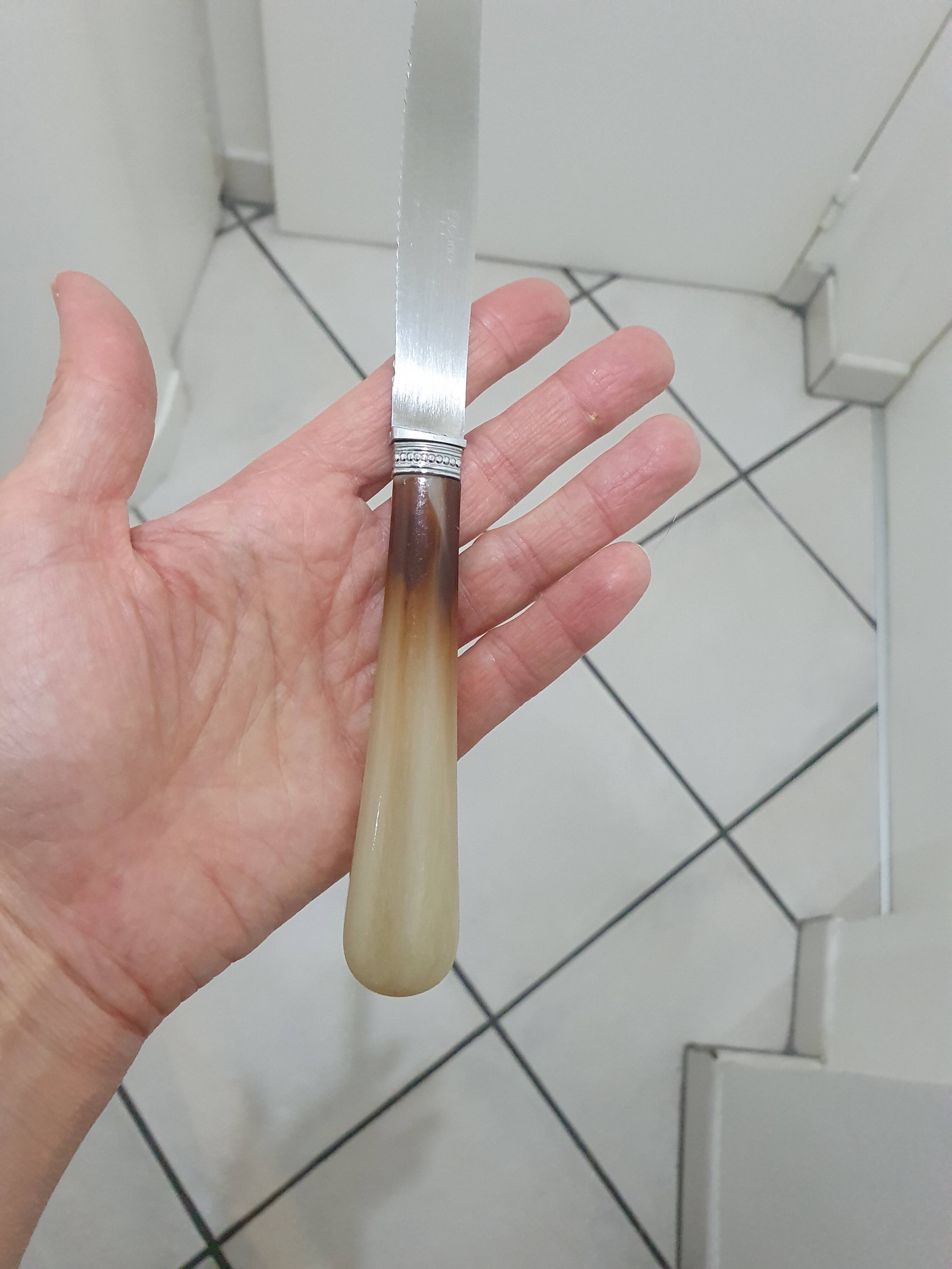 Stainless steel table and dessert knives with mother-of-pearl handles