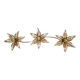 Large floral wall light in brass and gilded metal, Willy Daro, 1970.
