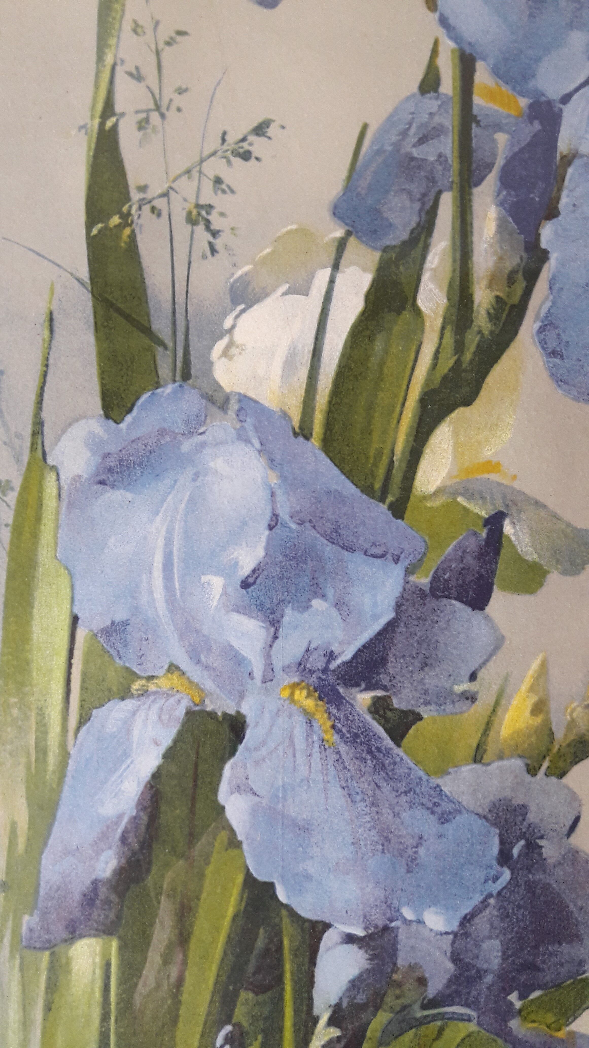 Old paintings bouquet pinks and irises (lot of 2)