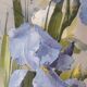 Old paintings bouquet pinks and irises (lot of 2)