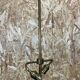 60s 70s floor lamp porcelain KPM brass space age