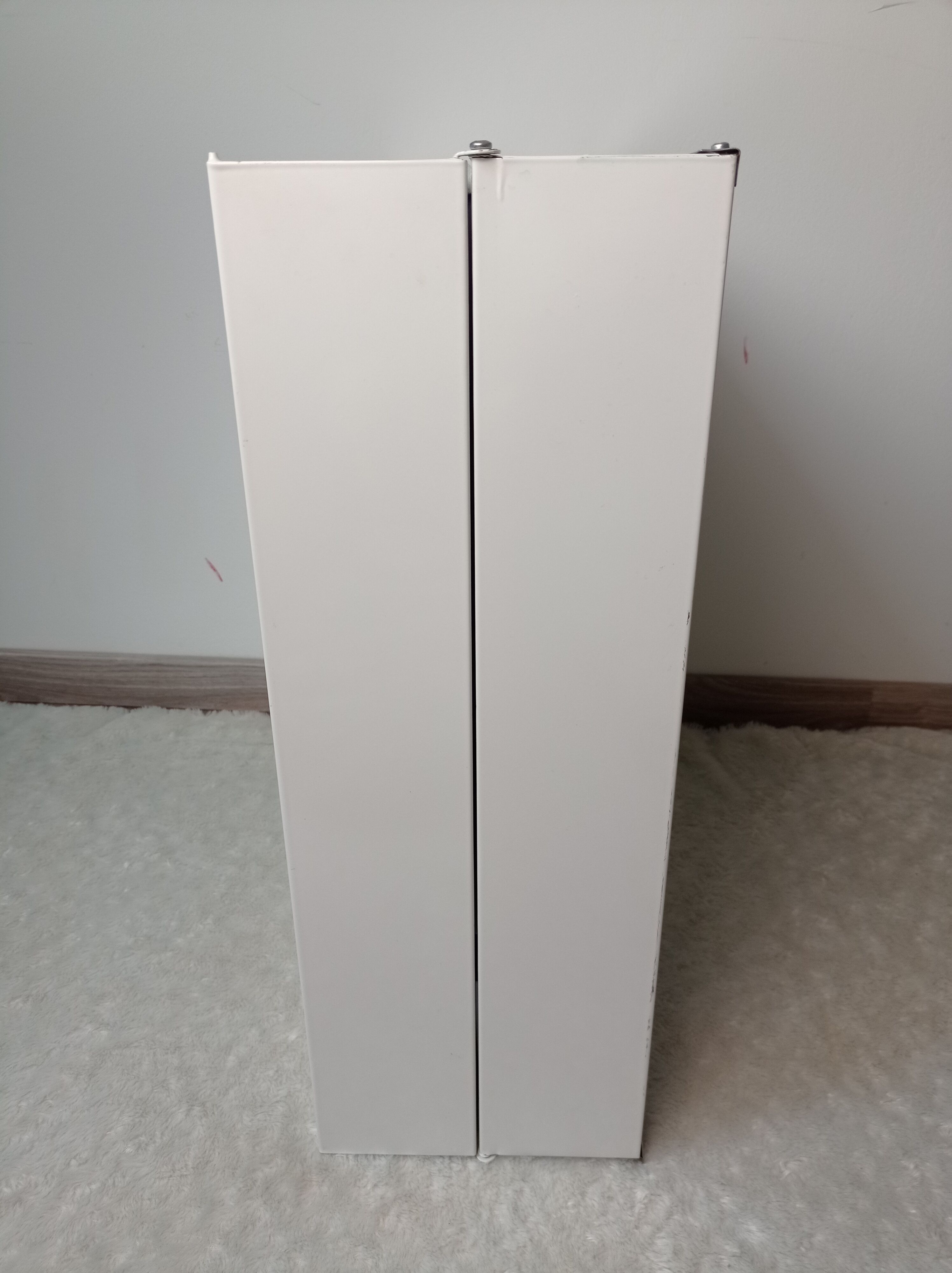 Medicine cabinet from the 60s Rossignol