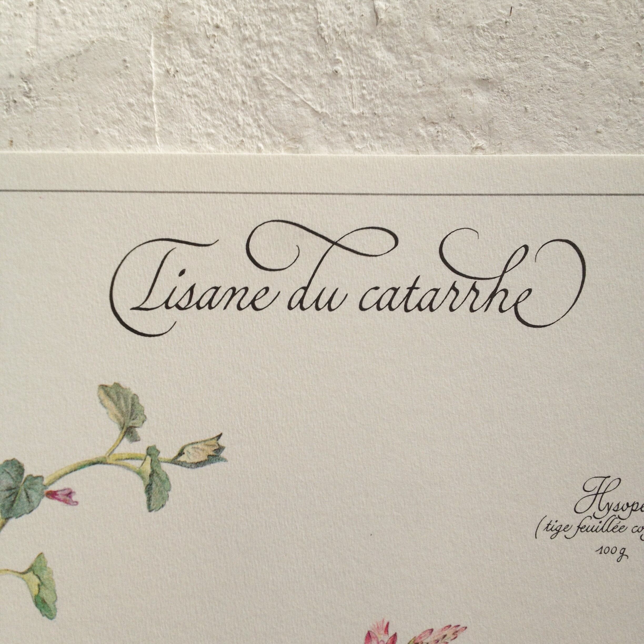 Botanical poster is a tisane