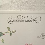 Botanical poster is a tisane