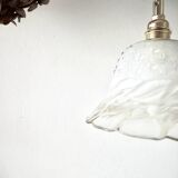 Old flying tulip walker