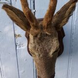 Deer hunting trophy