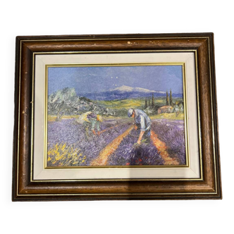 The lavender harvest