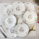 8 flat plates in Céranord porcelain, bird of paradise motif, "Regence" model