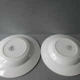 Lot of 2 hollow plates Moulin des Wolves, painted décor