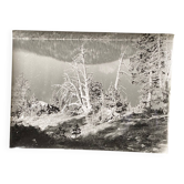 Photo argentique Bernard Darot XXe arbre mort devant un lac