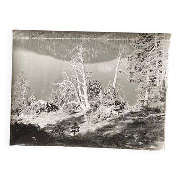 Vintage photograph by Bernard Darot, 20th century, dead tree in front of a lake