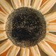 Coupelles tournesol de Gien
