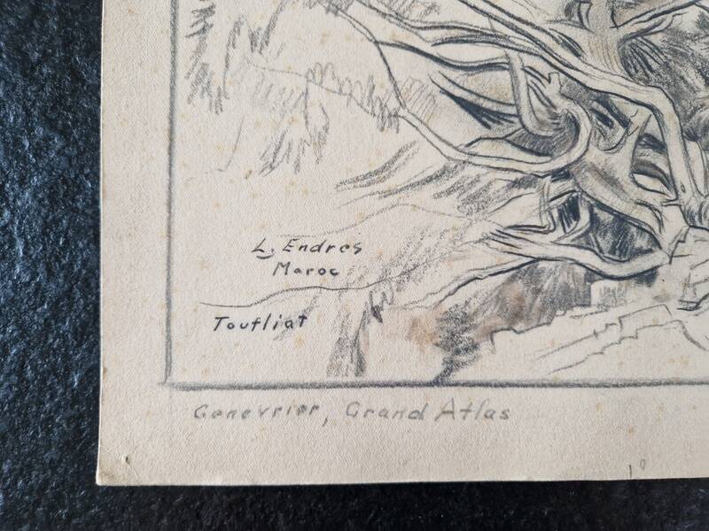 Louis John Endres (1896-1989) - Charcoal drawing on paper - Genevrier Toutliat, Grand Atlas Maroc