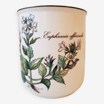 Pot, mug Botanica, en porcelaine Villeroy & Boch