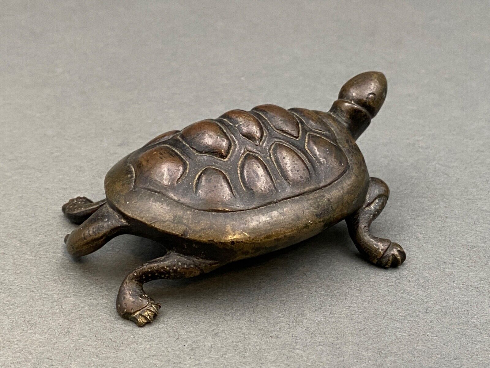 Bronze turtle XIXth Chocolate patina Fine carving