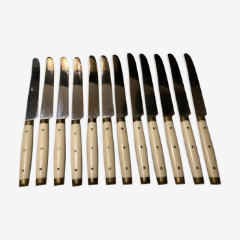 Lot de 12 couteaux de table Pradel