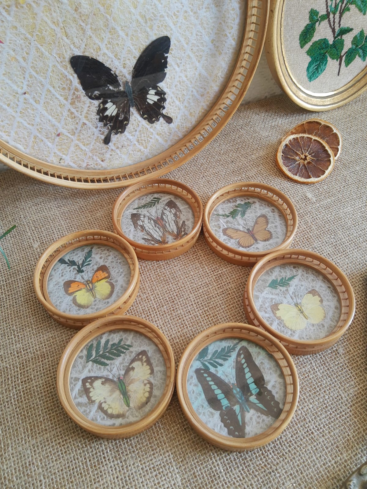 Set tray and 6 under glass bamboo vintage butterflies