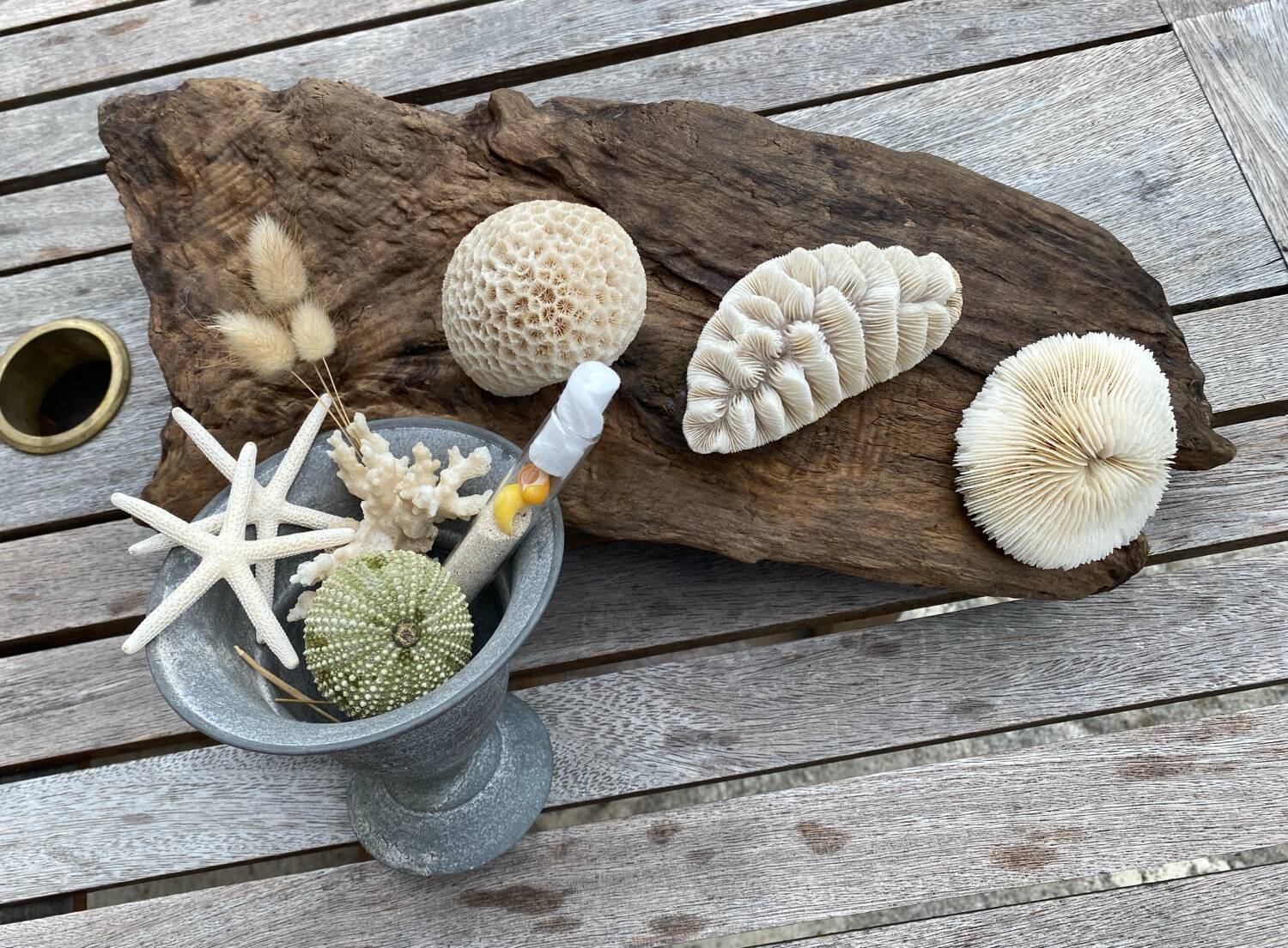 Vintage white coral