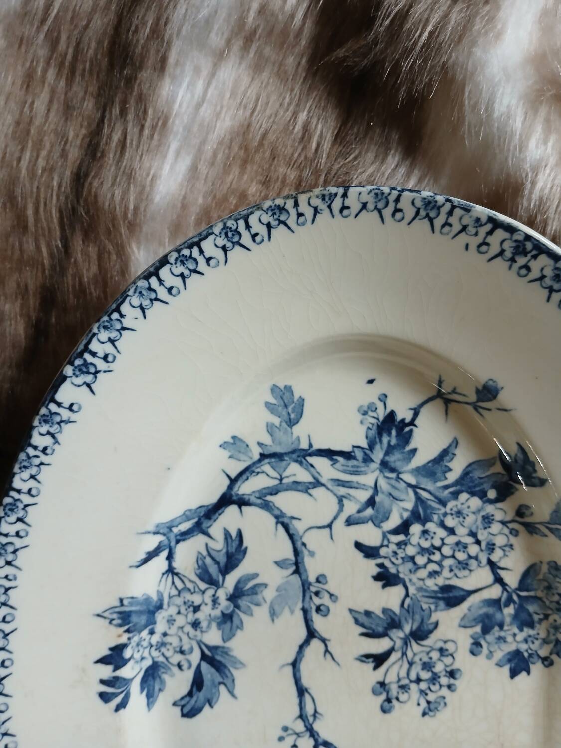 Old ironstone plate