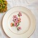 6 mismatched old flat plates
