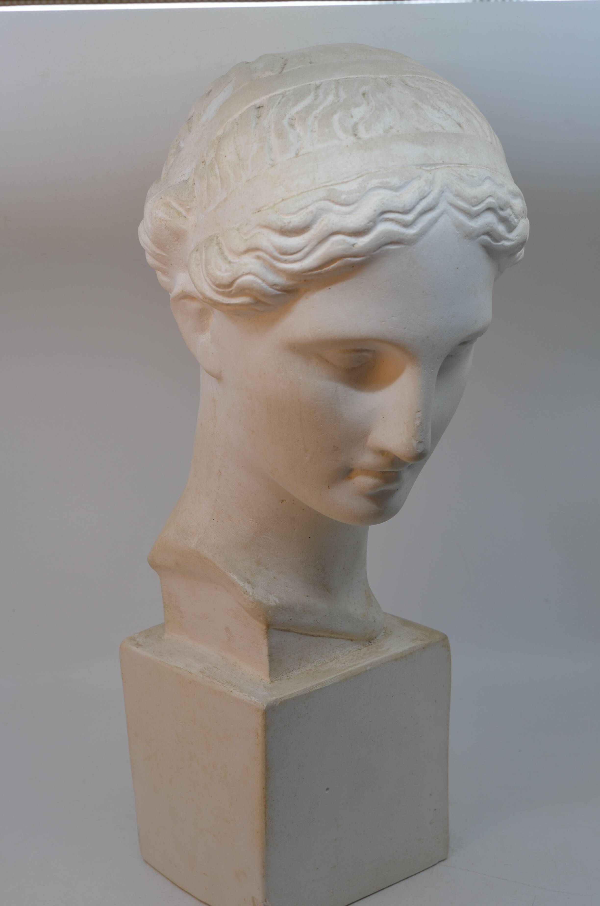Female bust in plaster – antique style sculpture – classic head 50 cm