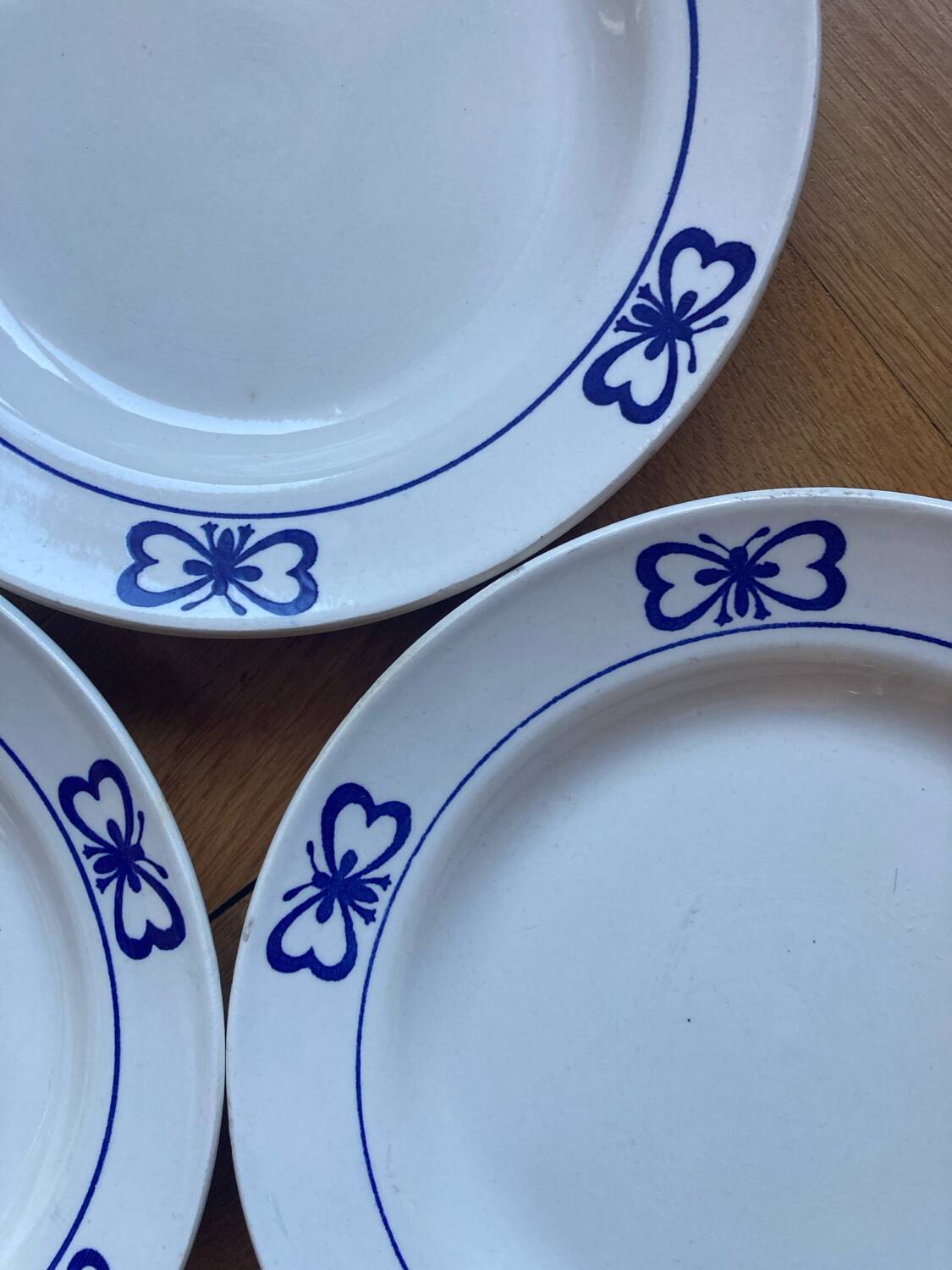 Blue butterfly patterned dinner plates